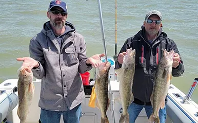 Two anglers celebrating a successful catch with four large Walleye aboard More Gooder Fishing Charters on Lake Erie, May 6, 2022.